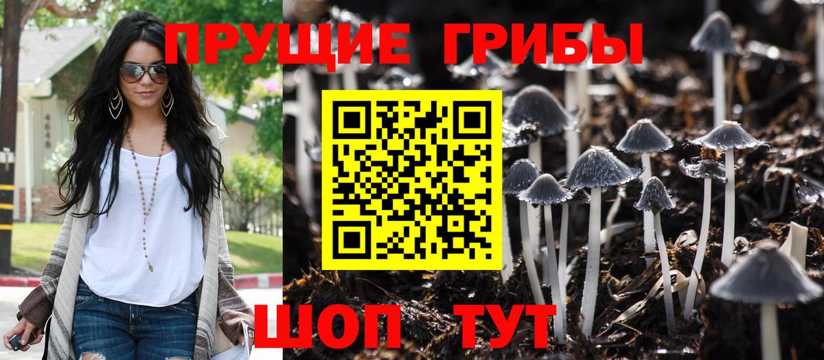 Галлюциногенные грибы GOLDEN TEACHER Новомосковск
