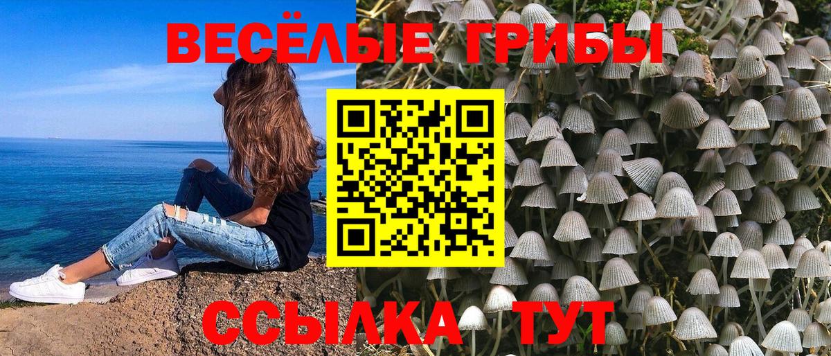 Новомосковск  Галлюциногенные грибы MAGIC MUSHROOMS  Вход с VPN  Псилоцибиновые грибы мицелий 